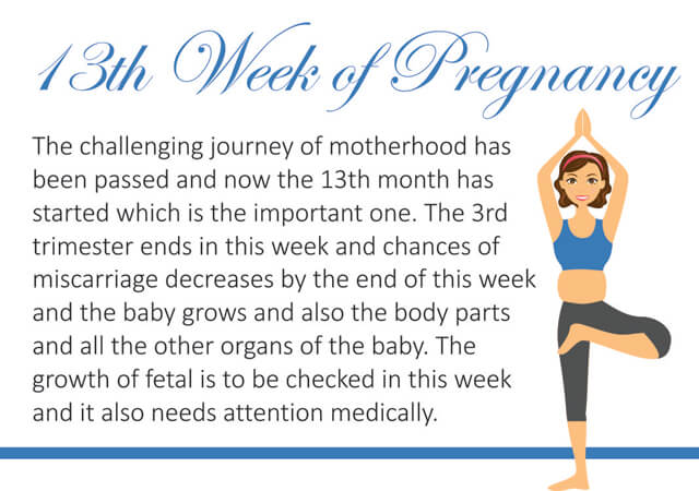 13th Week of Pregnancy Feature image